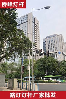 路灯杆07